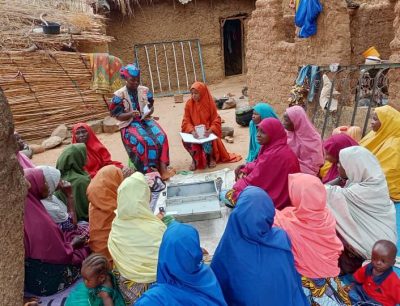 Building Financial Resilience in Yobe.